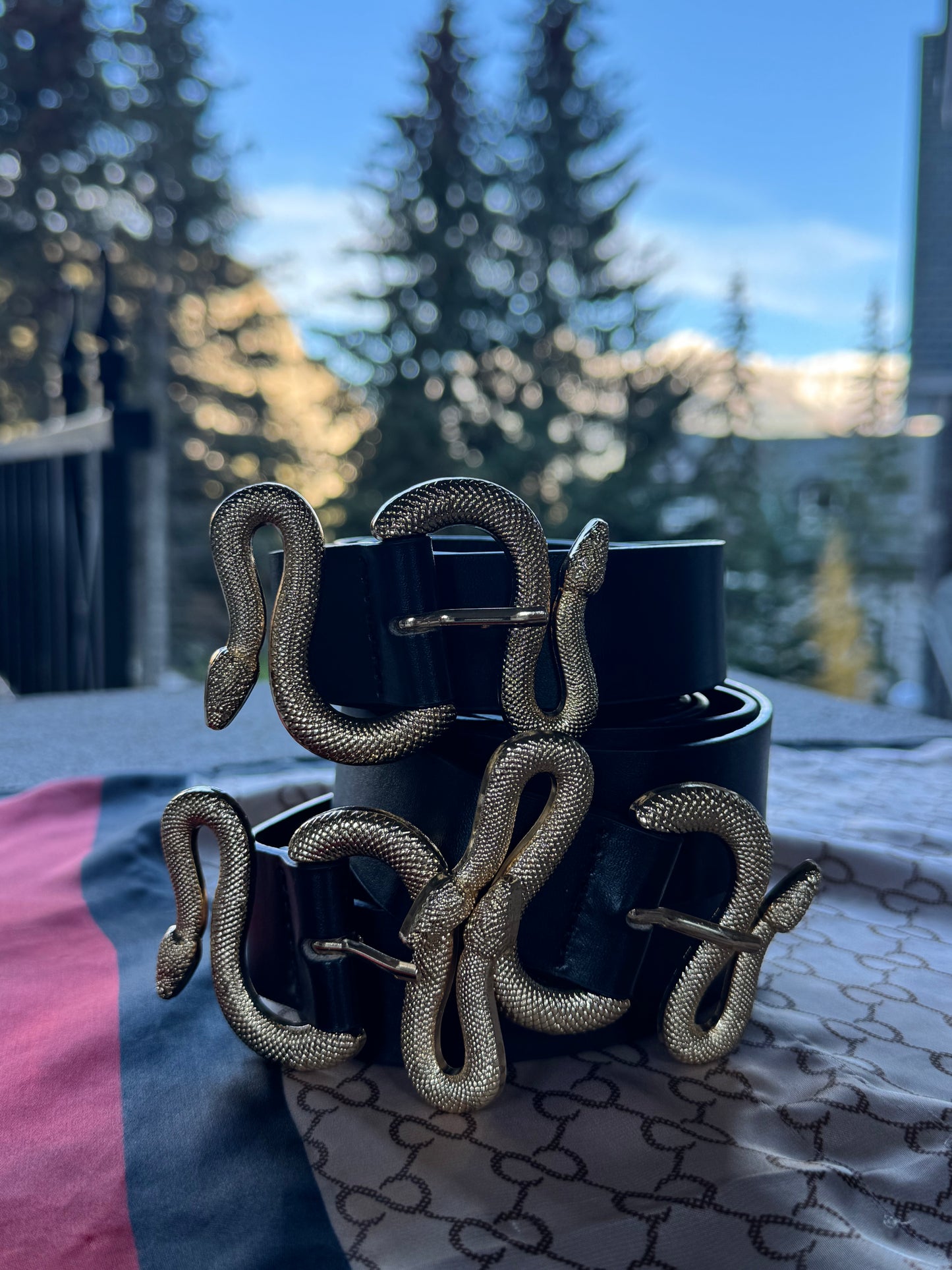 The Serpent Luxe Belt