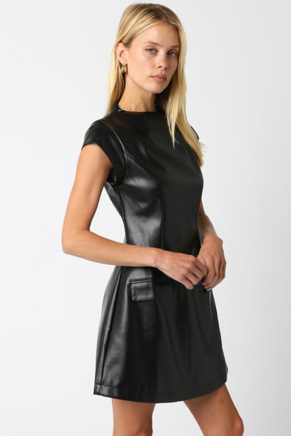 The Dominque Mini Dress